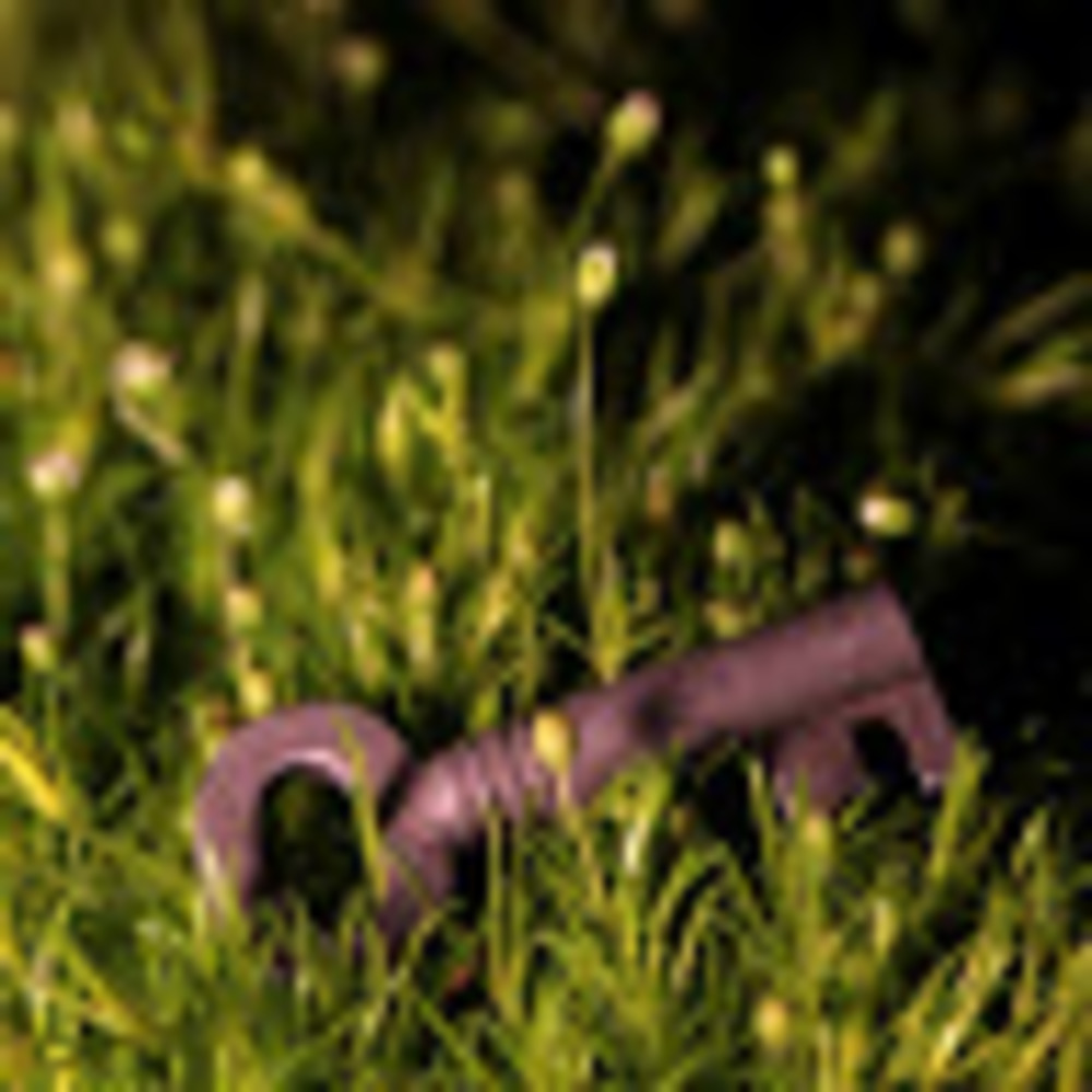 Meet your Posher, Alicia